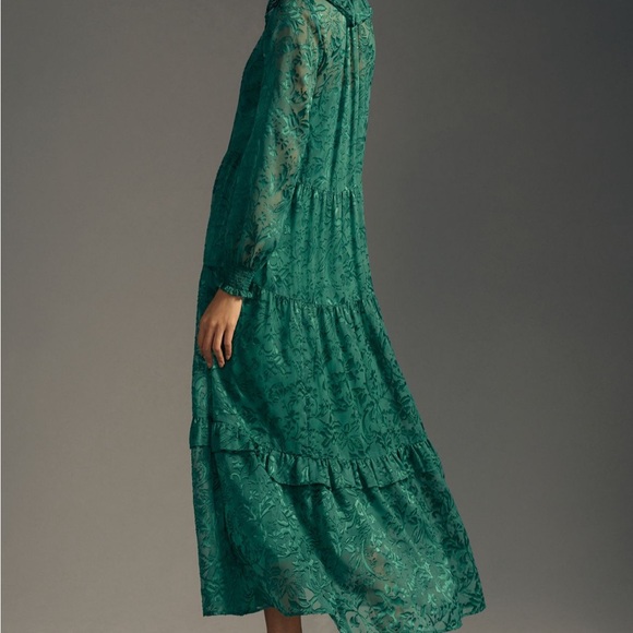 The Marais Maxi Dress: Satin-Burnout Edition Medium Petite - Picture 2 of 10